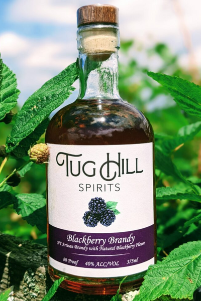 Blackberry Brandy - Tug Hill Estates Blackberry Brandy outside blackberries drink