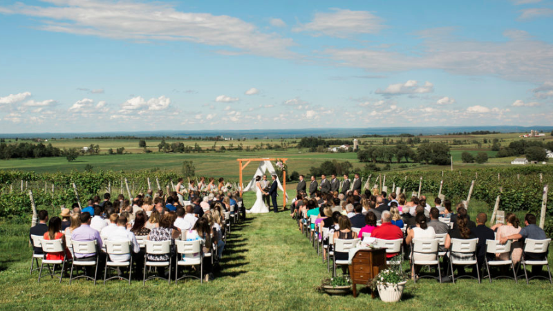 people out side outdoor wedding summer time